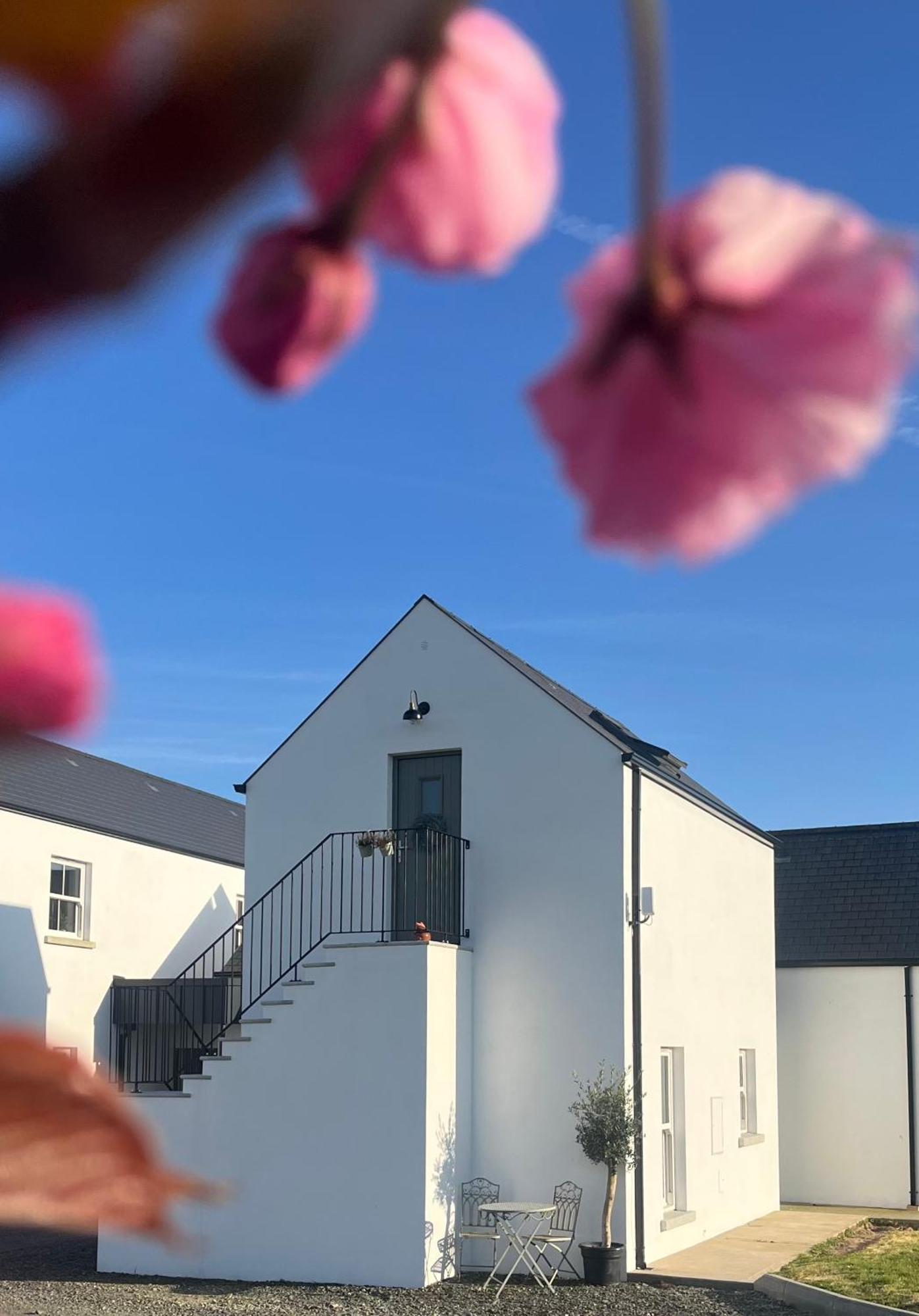 The Loft Curracloe, On Wexfords Coastal Scenic Route Apartment Exterior photo